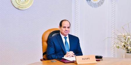 السيسي يوجه بتنمية التصنيع المحلي في الرمال السوداء والأسمدة والعناصر الأرضية النادرة - المدينة برس