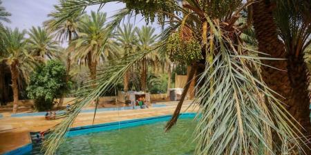 زخات ورياح وحر في مناطق بالمملكة - بوابة المدينة برس