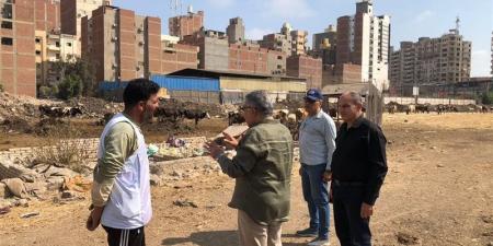 توجيه عاجل من محافظ الدقهلية بعد رصد رؤوس ماشية في قطعة أرض بمدخل المنصورة - المدينة برس
