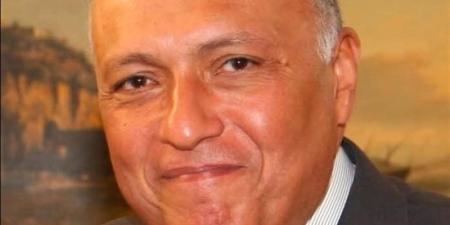 نقل سامح شكري للمستشفى وصفحته الرسمية تكشف وضعه الصحي - المدينة برس