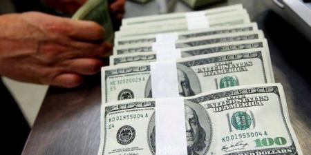 تحويلات الجالية الهندية تتجاوز 50 مليار دولار - بوابة المدينة برس
