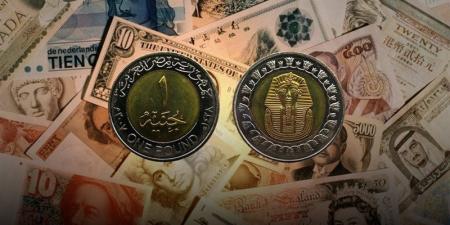 أسعار العملات العربية والأجنبية أمام الجنيه المصري في البنك المركزي بتعاملات نهاية الأسبوع - المدينة برس