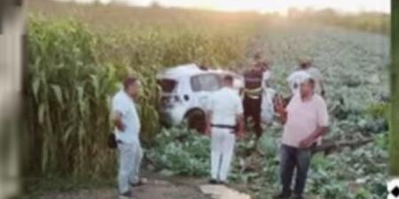 مصرع شاب وإصابة آخرين في حادث تصادم بمدخل أجا بالدقهلية - المدينة برس