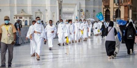 تصل لـ6 آلاف جنيه، زيادات جديدة بأسعار برامج العمرة بسبب نظام الإعاشة - المدينة برس