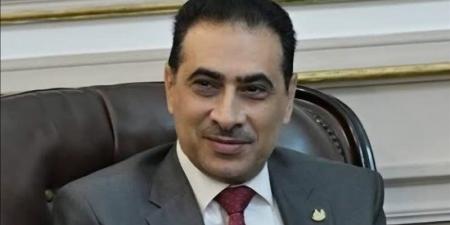 نائب رئيس جامعة القاهرة: قوة البحث العلمي وراء تصدرنا في تصنيف شنغهاي - المدينة برس