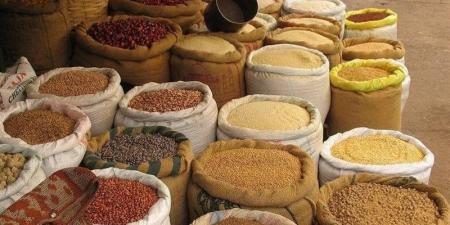ارتفاع الذرة والصويا والردة، أسعار الأعلاف والحبوب اليوم في الأسواق - المدينة برس