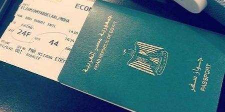الداخلية تصدر 4 قرارات بشأن التجنس بجنسيات أجنبية وإبعاد أجنبيين خارج البلاد - المدينة برس