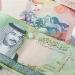 استقرار سعر الدينار البحريني مقابل الجنيه في البنوك المصرية مساء اليوم - المدينة برس