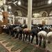 موعد أذان المغرب اليوم الثلاثاء " 14 صفر" في القاهرة والمحافظات - المدينة برس