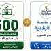 10 مكاتب بريد بالوادي الجديد تستقبل تظلمات بطاقات التموين وتحديث البيانات - المدينة برس