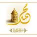 مع اقتراب المولد النبوي، هل يجوز الاحتفال به وكيف تكون الطريقة المشروعة لإحيائه؟ - المدينة برس