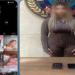 القبض على صانعة محتوى بعد نشرها فيديوهات أثارت الجدل في أكتوبر (فيديو) - المدينة برس