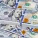 سعر الدولار اليوم الأحد 9-8-2026 بمستهل التعاملات الصباحية - بوابة المدينة برس
