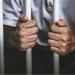 جنايات طنطا تخفف الحكم للمؤبد بدلًا من الإعدام لقاتل شاب كفر الزيات بالغربية - المدينة برس
