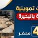 تحرير 34 مخالفة في حملات على المخابز بالبحيرة - المدينة برس