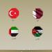 بيان عاجل لمصر و7 دول عربية وإسلامية بشأن رفض إسرائيل لخارطة إنهاء النزاع فى غزة - المدينة برس