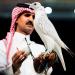 صقر كندي يخطف الأضواء في مزاد سعودي بـ1.3 مليون ريال - بوابة المدينة برس