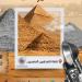 نقابة الصحفيين واتحاد المصورين العرب يحتفون باليوم العالمي للتصوير - المدينة برس
