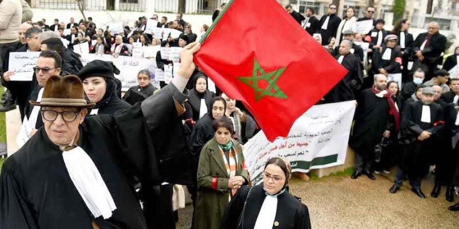 مجلس المنافسة يفرج عن توصيات من أجل إصلاح شامل لمهنة المحاماة - بوابة المدينة برس
