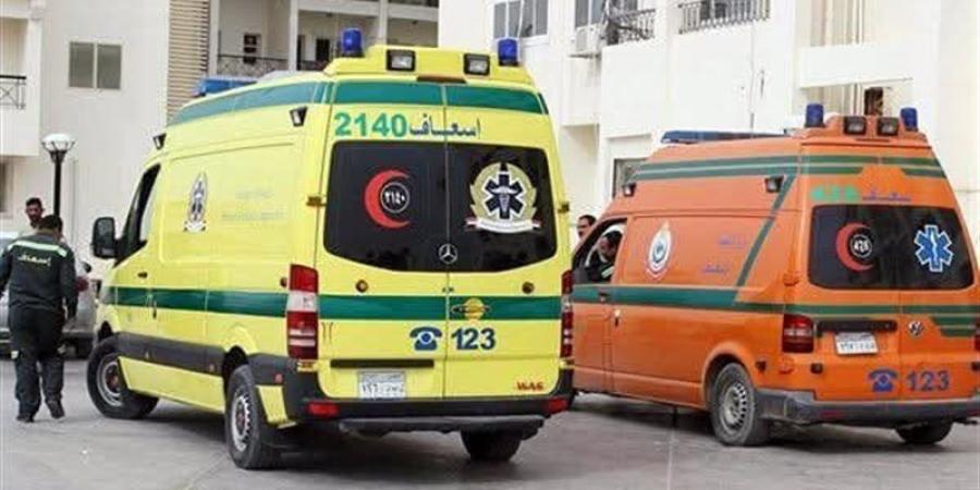 مصرع شاب غرقًا في ترعة بالبحيرة - المدينة برس