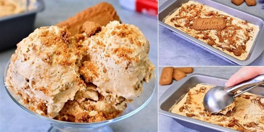 طريقة عمل الآيس كريم الاقتصادي في المنزل، زي الجاهز - المدينة برس
