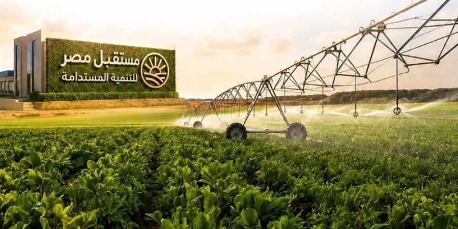 بدء الدراسة في مدارس "مستقبل مصر" للتعليم الزراعي التطبيقي العام المقبل - المدينة برس