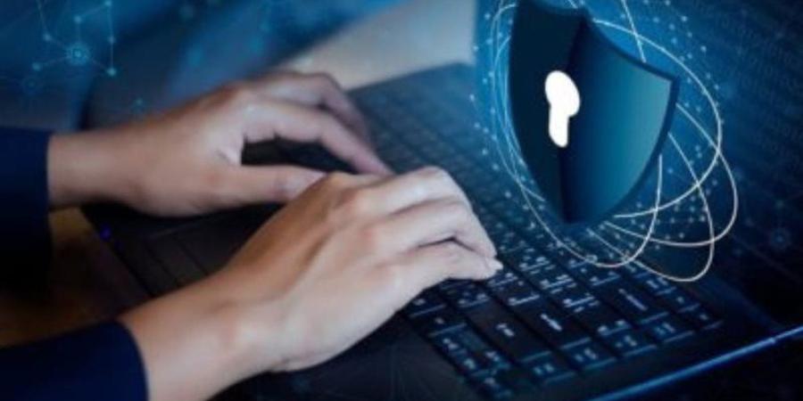 غرامة مليون جنيه، عقوبة عدم تمكين الشخص المعنيى بالبيانات من ممارسة حقوقه وفق القانون - المدينة برس