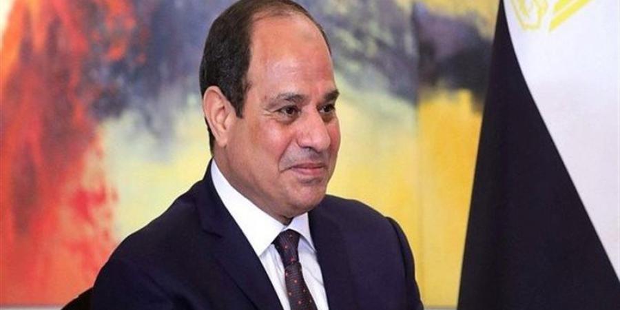 السيسي للسفراء الجدد: نحرص على تطوير التعاون وترسيخ العلاقات في مختلف المجالات - المدينة برس