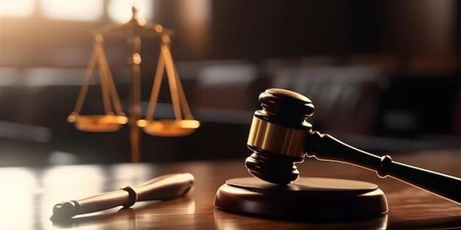 اليوم، محاكمة عاطل بتهمة حيازة سلاح ناري في بدر - المدينة برس