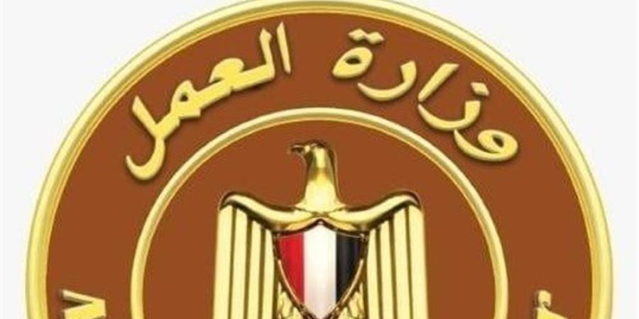 الحكومة تحذر من صفحات وحسابات وهمية تروج لمعلومات مغلوطة بشأن منحة العمالة غير المنتظمة - المدينة برس