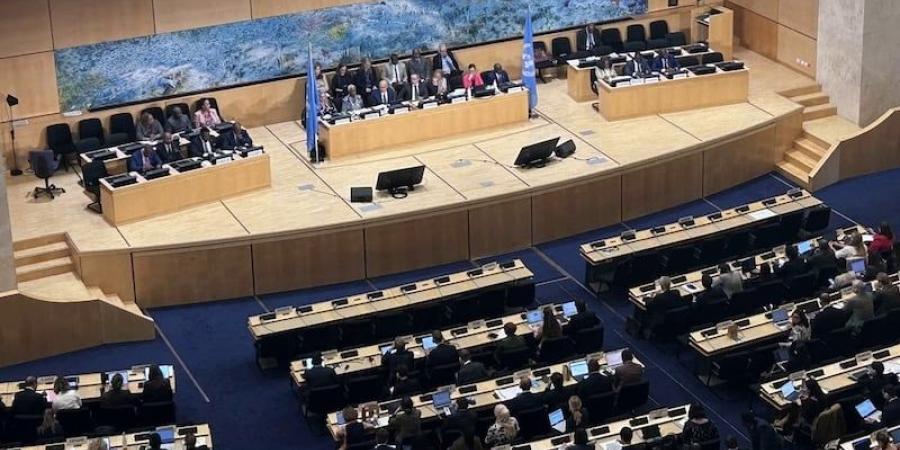 المغرب يجدد الالتزام بمكافحة العنصرية - بوابة المدينة برس