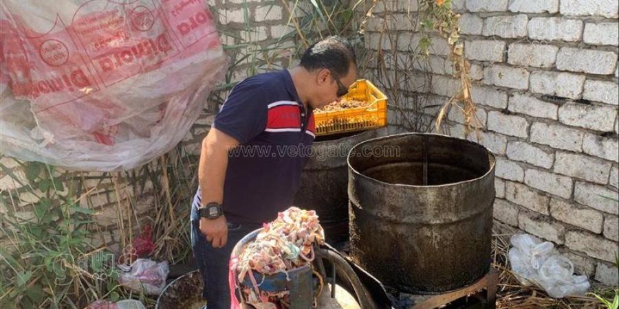 ضبط طن و350 كيلو دواجن داخل مجزر غير مرخص في الغربية (صور) - المدينة برس