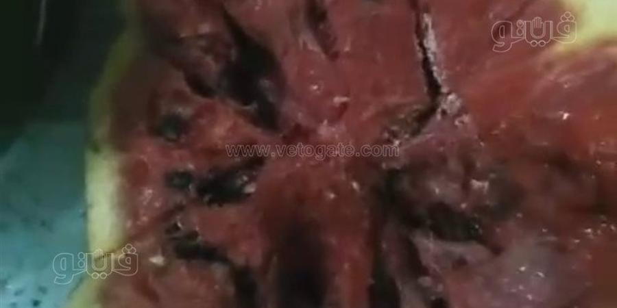 تاجر بطيخ يثير الجدل في المنوفية، ادعى أن "البطيخ مسموم" وتحدّى التجار ويطالب بالتحقيق (فيديو) - المدينة برس