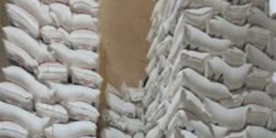 ضبط 14 طن دقيق و11 مليون جنيه حصيلة الاتجار غير المشروع بالنقد الأجنبي خلال 24 ساعة - المدينة برس