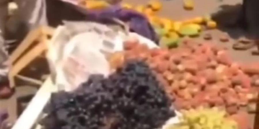 أول رد من محافظة القليوبية بعد تداول فيديو لرئيس مدينة طوخ يلقي بضاعة في الشارع - المدينة برس