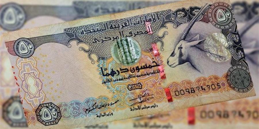 وفقا لآخر التطورات، سعر الدرهم الإماراتي أمام الجنيه في البنوك المصرية اليوم الجمعة - المدينة برس