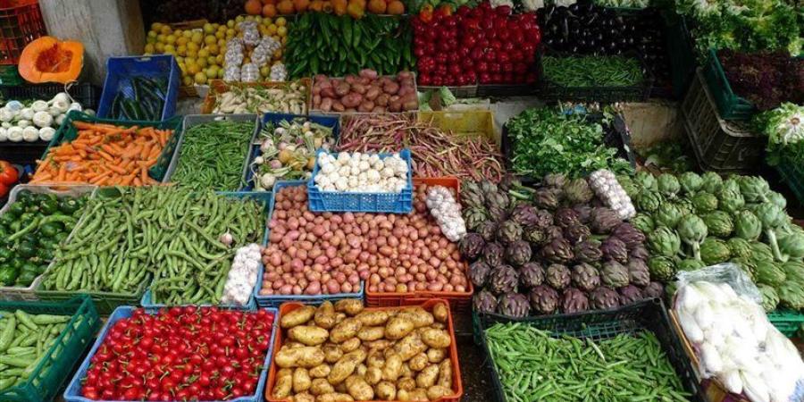 سعر الخضار اليوم، انخفاض الباذنجان واستقرار الطماطم وارتفاع الليمون البلدي 5 جنيهات - المدينة برس