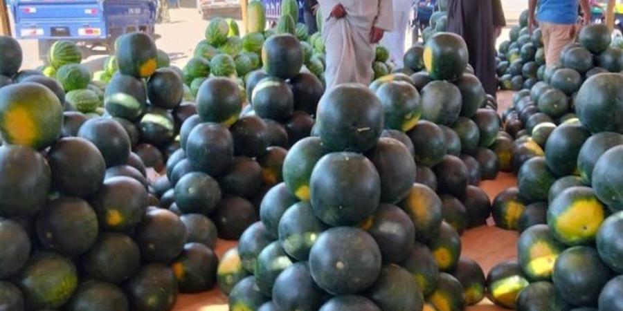 اكسر وكل ببلاش نفحة المزاد، رحلة إلى سوق المستقبل للبطيخ الإسماعلاوي (فيديو وصور) - المدينة برس