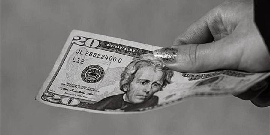 سعر صرف الدولار في البنوك المصرية (آخر تحديث) - المدينة برس