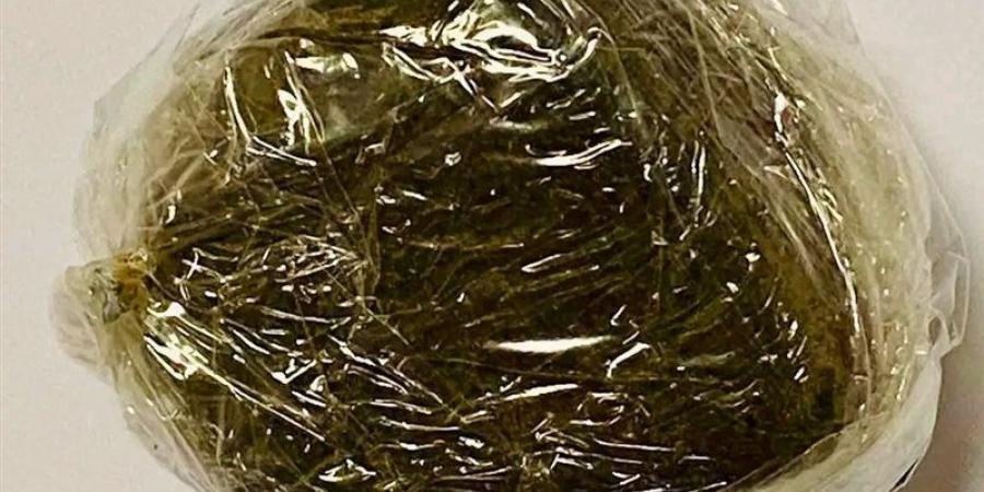 جمارك مطار الغردقة تحبط محاولة تهريب كمية من مخدر الحشيش مع راكب دنماركي - المدينة برس