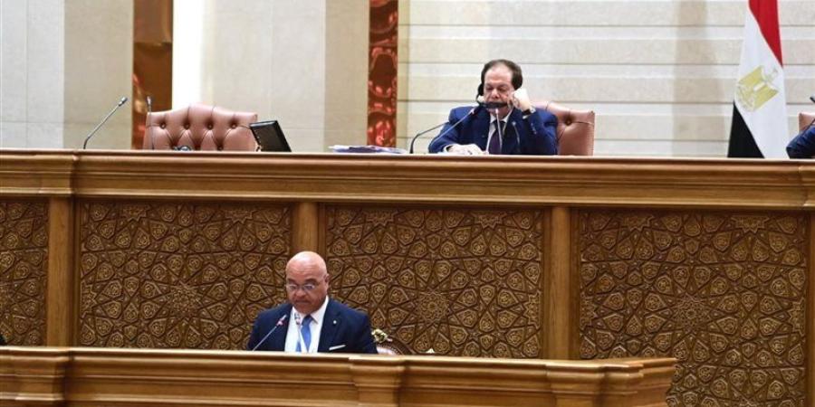 رئيس برلمانية من أجل المتوسط: القضية الفلسطينية الاختبار الحقيقي لمصداقية النظام الدولي - المدينة برس