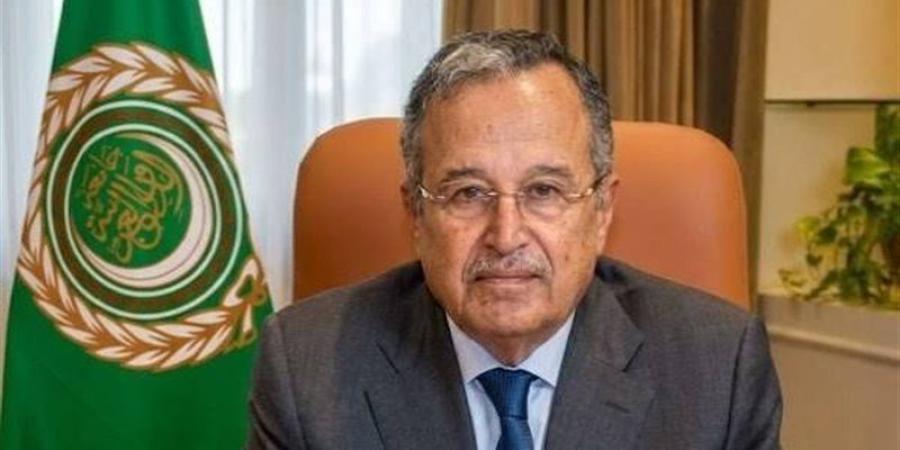 نبيل فهمى يبحث مع المندوبين الدائمين للجامعة العربية آليات العمل بالمرحلة المقبلة - المدينة برس