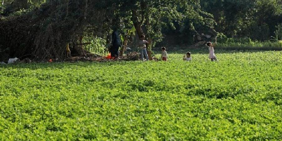 دينية النواب تفتح ملف ارتفاع قيمة أراضي الأوقاف وإجراءات التقنين - المدينة برس