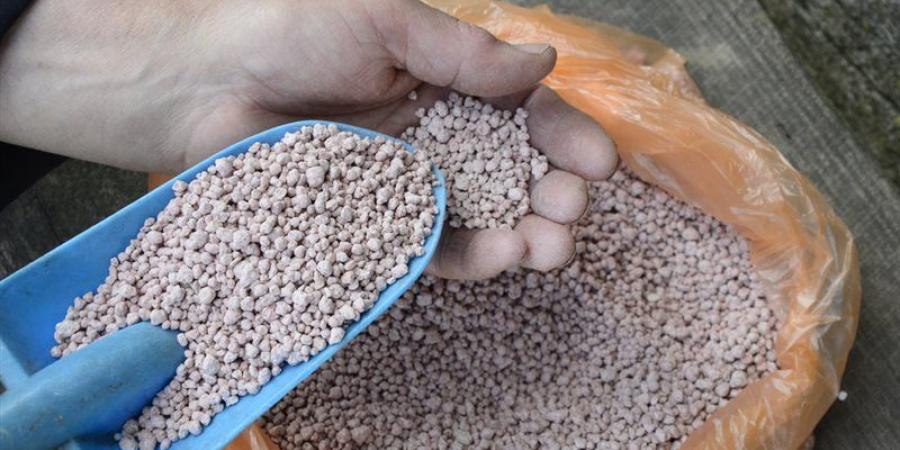 انخفاض النترات العادي 1197 جنيها، أسعار الأسمدة اليوم في الأسواق - المدينة برس