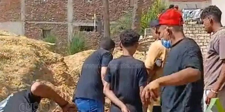 بعد وفاة الطفلة ملك عصام بلدغة كوبرا، ماذا كشفت لجنة التفتيش داخل المستشفى؟ - المدينة برس