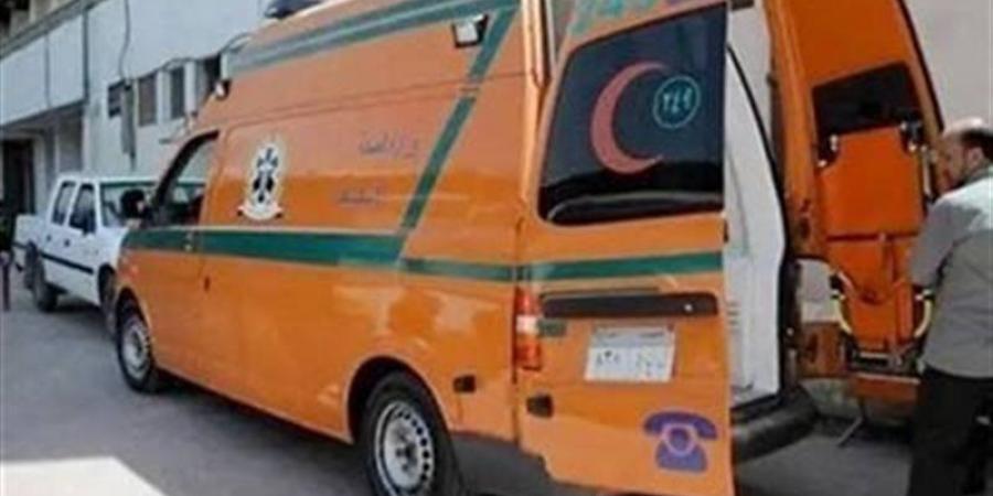النيابة تطلب تقرير لجنة المرور حول حادث الشروق وتفاصيل صادمة لمناظرة جثة الضحية - المدينة برس