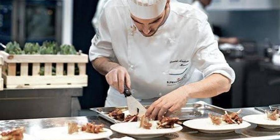تفسير رؤية الطباخ في المنام وعلاقتها بالراحة والاستقرار - المدينة برس