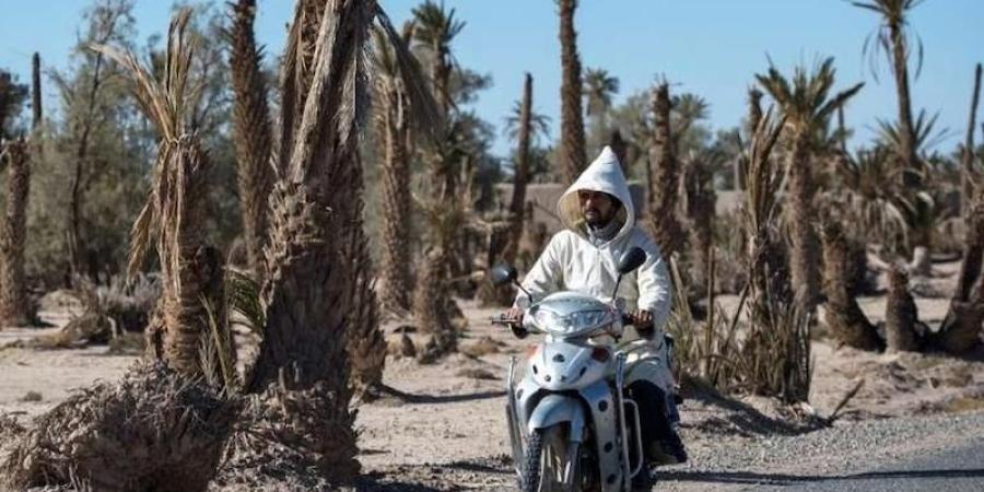 طقس ملتهب بالمغرب .. الحرارة تقترب من 50 درجة في بعض المناطق - بوابة المدينة برس