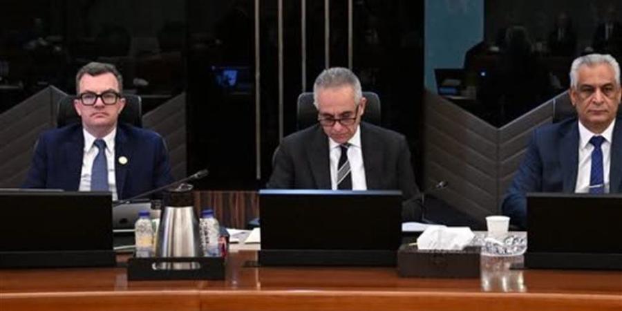 وزير التخطيط: مصر من أوائل الدول الحريصة على تقديم مراجعات طوعية بصورة منتظمة - المدينة برس