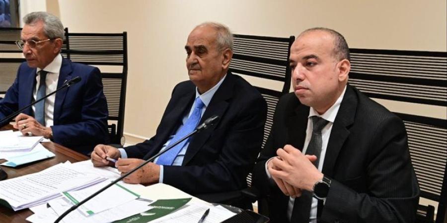 الحكومة تكشف أهداف وتفاصيل مشروع قانون جهاز مستقبل مصر - المدينة برس